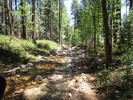 photo thumbnail #1