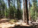 photo thumbnail #4