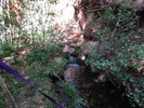 Featured Full Photo