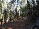 photo thumbnail #8