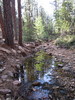 photo thumbnail #12