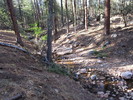 photo thumbnail #11