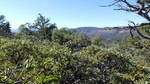 photo thumbnail #11