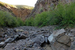 photo thumbnail #2