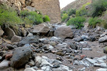photo thumbnail #13