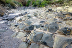 photo thumbnail #14