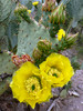 photo thumbnail #15