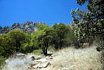 photo thumbnail #4