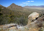 photo thumbnail #14