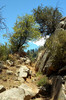 photo thumbnail #15