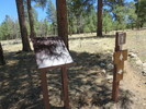 photo thumbnail #7