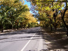 photo thumbnail #2