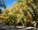 photo thumbnail #3