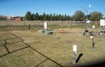 photo thumbnail #6