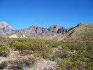 photo thumbnail #8