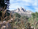 photo thumbnail #10