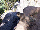 photo thumbnail #11