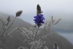 photo thumbnail #15