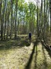photo thumbnail #7