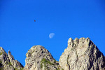 photo thumbnail #14