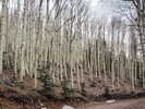 photo thumbnail #5
