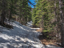 photo thumbnail #9