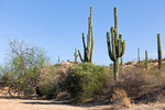 photo thumbnail #6