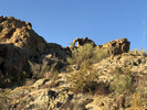 photo thumbnail #14