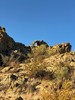 photo thumbnail #13