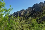 photo thumbnail #3