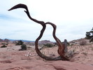 photo thumbnail #1