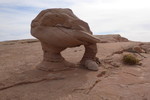 photo thumbnail #2