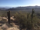 photo thumbnail #4