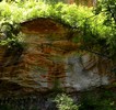 photo thumbnail #12