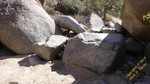 photo thumbnail #13