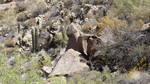 photo thumbnail #2
