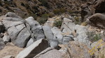 photo thumbnail #12