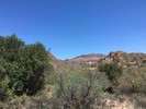 photo thumbnail #4
