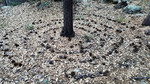 photo thumbnail #11