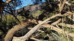photo thumbnail #12