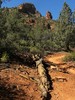 photo thumbnail #5