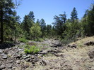 photo thumbnail #3