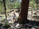 photo thumbnail #7
