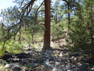 photo thumbnail #8