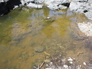 photo thumbnail #11