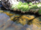 photo thumbnail #15