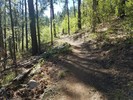 photo thumbnail #3