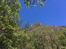 photo thumbnail #2