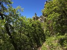 photo thumbnail #4