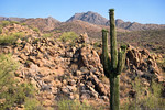 photo thumbnail #9